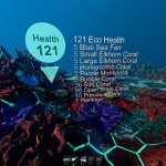 生态系统/Ecosystem