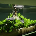 养鱼模拟器/Fish Game