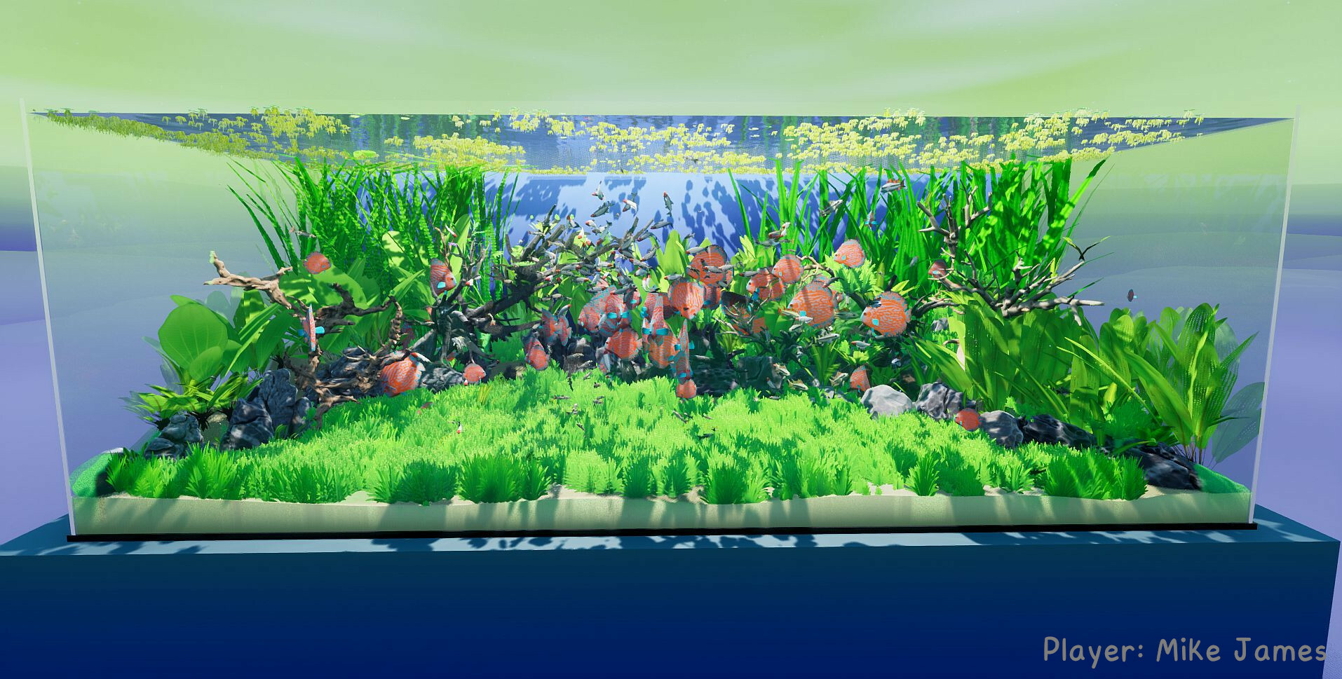 养鱼模拟器/Fish Game 游戏截图 5
