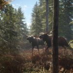猎人：荒野的召唤/theHunter: Call of the Wild