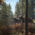 猎人：荒野的召唤/theHunter: Call of the Wild 版本更新