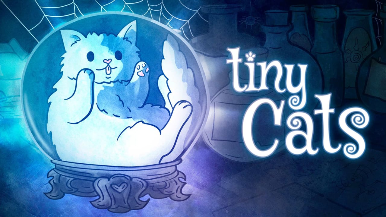 小猫 tiny Cats