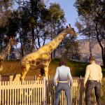动物园生活模拟器/ZooLife Simulator