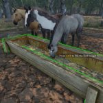 中世纪马贩子模拟器/Medieval Horse Dealer Simulator