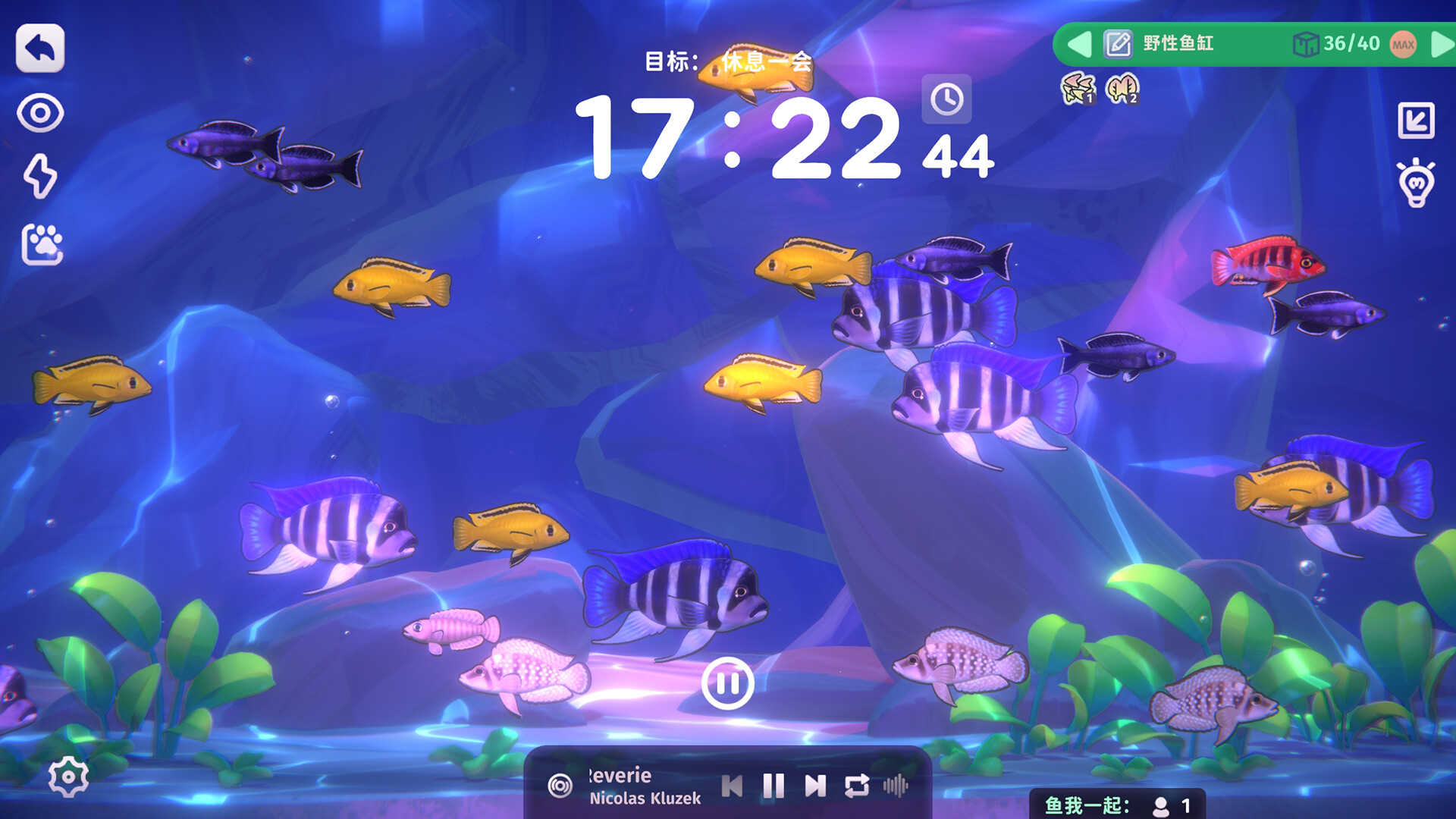 鱼我一起: 水愈时光/With Me: Aquatic Time 游戏截图 2