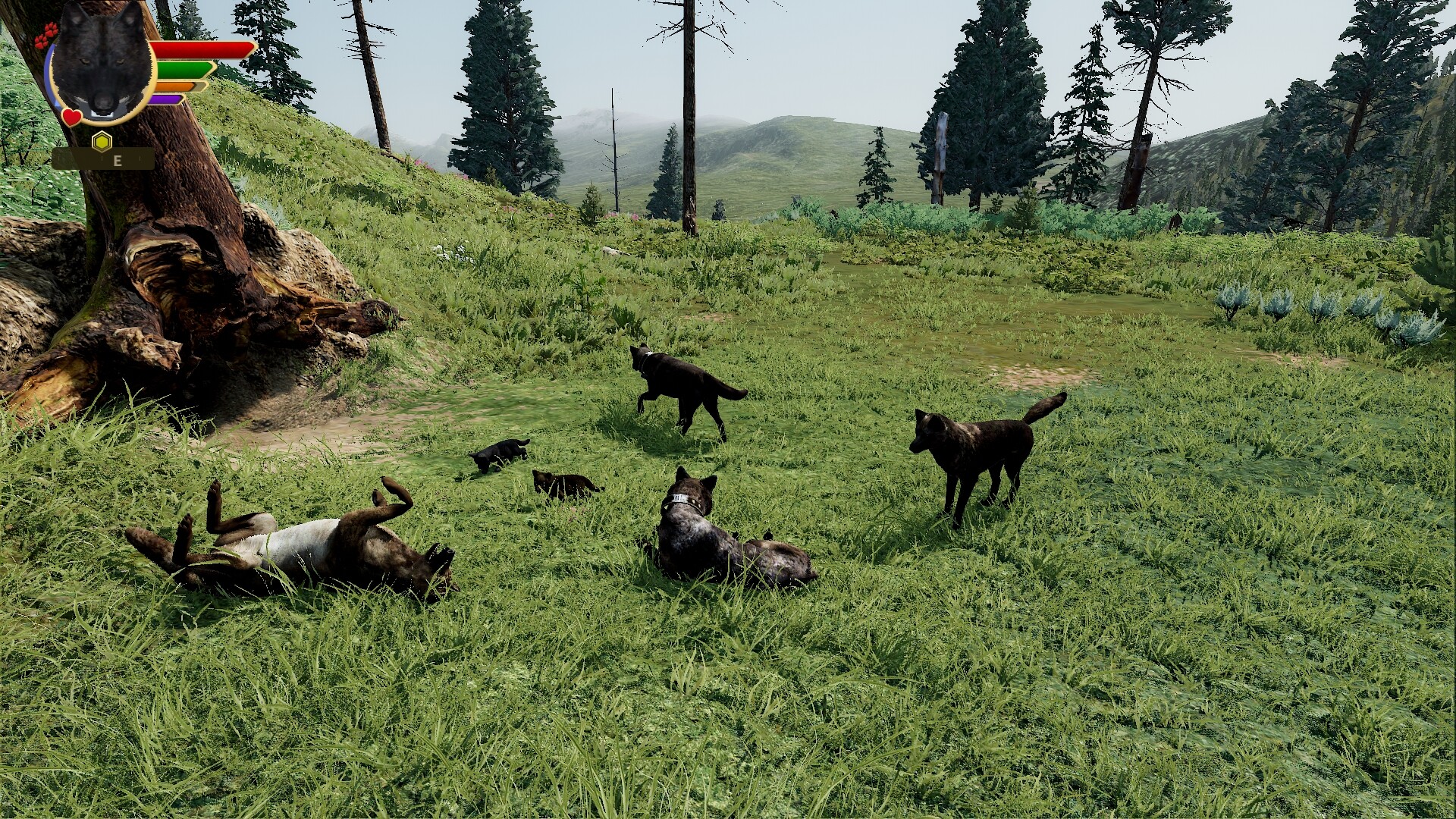 野狼谜踪:周年纪念版/WolfQuest: Anniversary Edition 游戏截图 6