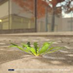 蒲公英不屈。/The Dandelion Endures.