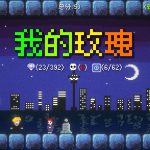 我的玫瑰/My Rose