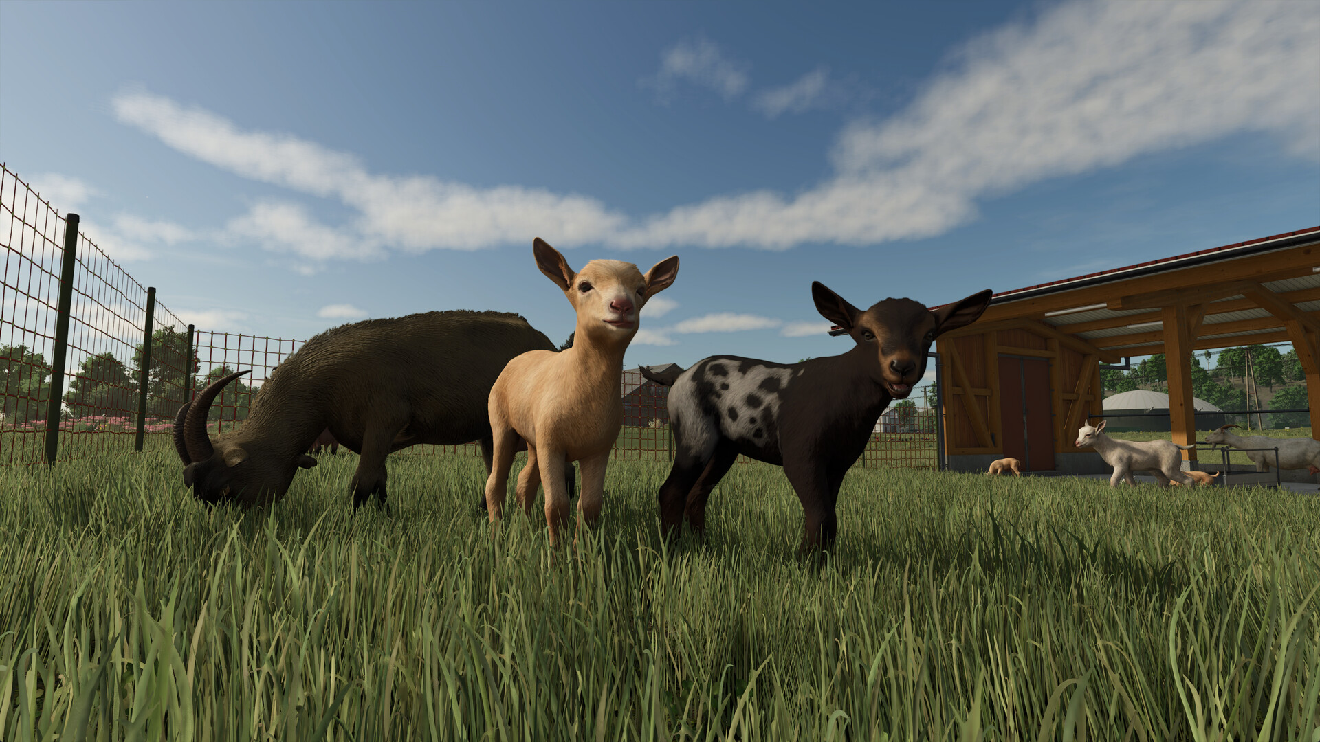 模拟农场25/Farming Simulator 25 新增DLC 版本更新 游戏截图 2