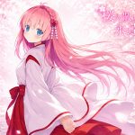 在樱花永不凋零的永恒之夜/Sakura: The Eternal Night