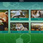 方舟动物园/Ark Nova