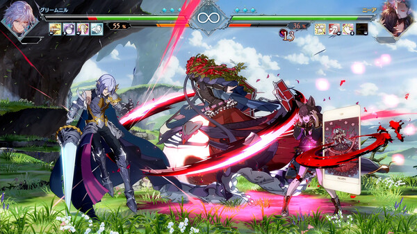 碧蓝幻想Versus：崛起/Granblue Fantasy Versus: Rising/支持网络联机