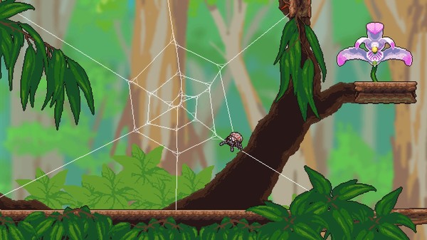 勇网直前/Webbed
