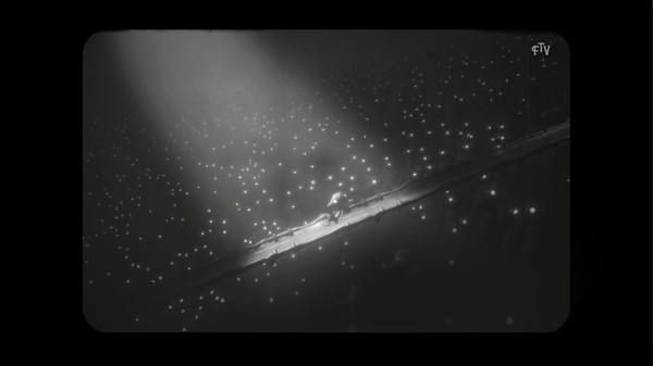 白色暗影/白色阴影/White Shadows
