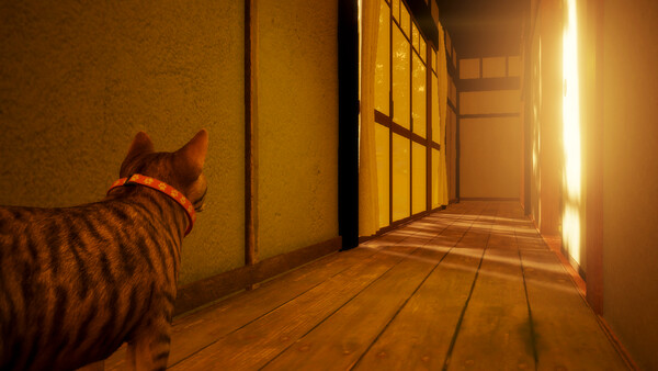 猫还在逃吗？/Still It Runs