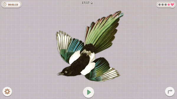 挤在一起的鸟鸟/Birds Huddled Together