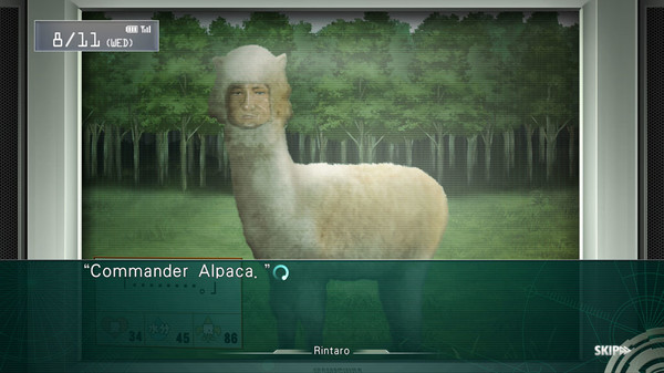 命运石之门：线形拘束的表征图/STEINS;GATE: Linear Bounded Phenogram