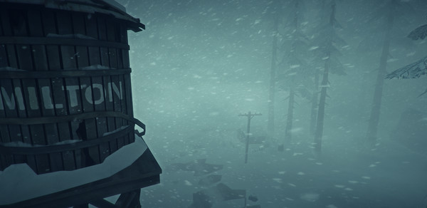 漫漫长夜/The Long Dark