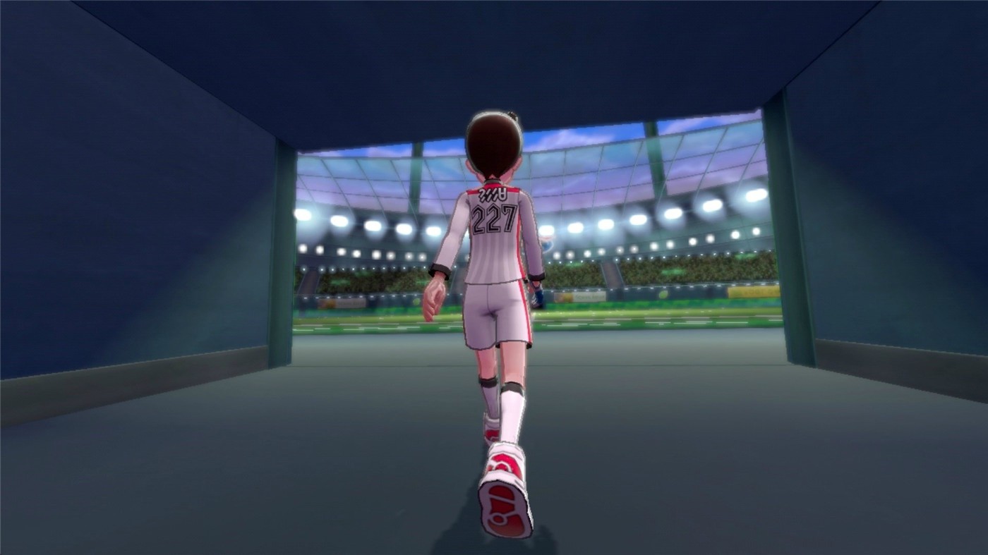 口袋妖怪剑盾/精灵宝可梦剑盾/Pokemon Sword Shield 游戏截图 2