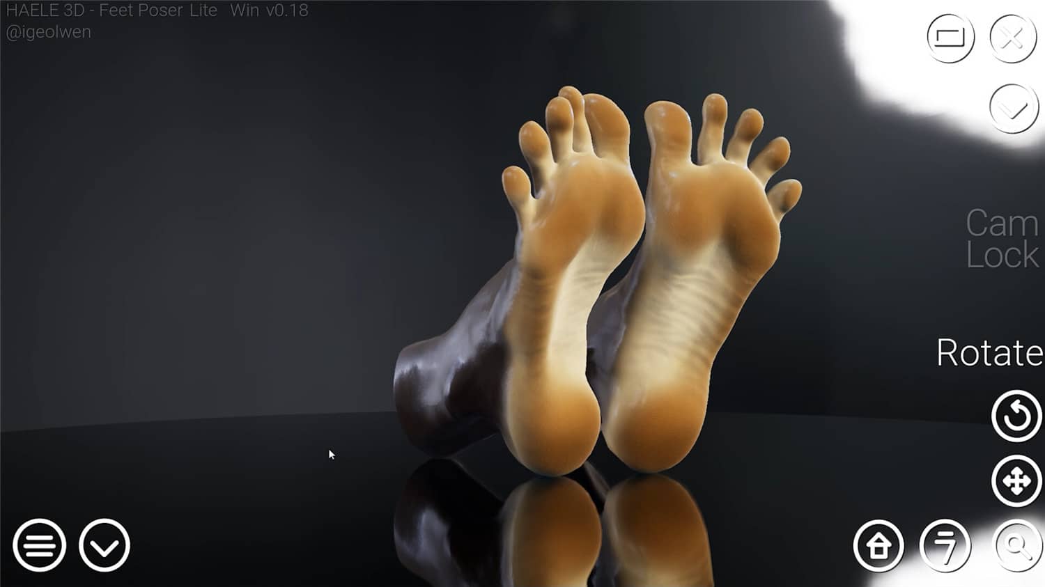 足部造型模拟器/HAELE 3D - Feet Poser Lite 游戏截图 2
