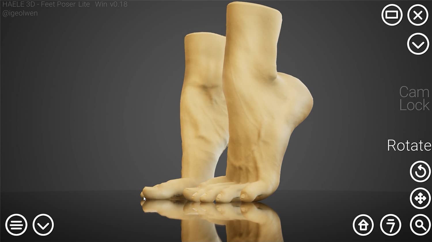 足部造型模拟器/HAELE 3D - Feet Poser Lite 游戏截图 1