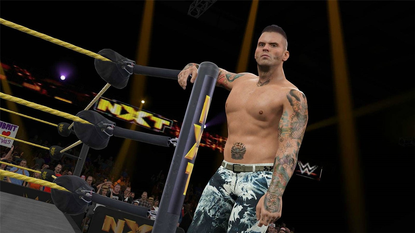 WWE 2K15/美国职业摔角联盟2K15 游戏截图 3