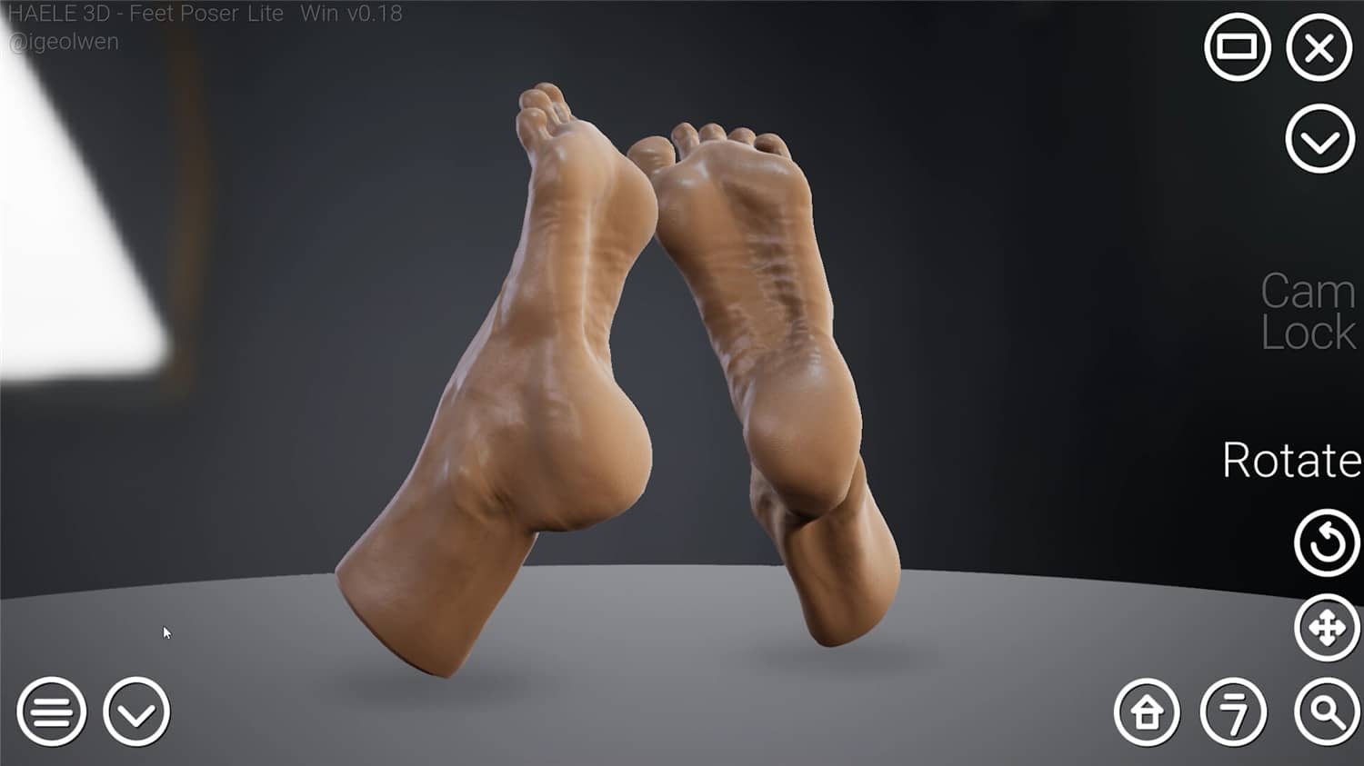 足部造型模拟器/HAELE 3D - Feet Poser Lite 游戏截图 3
