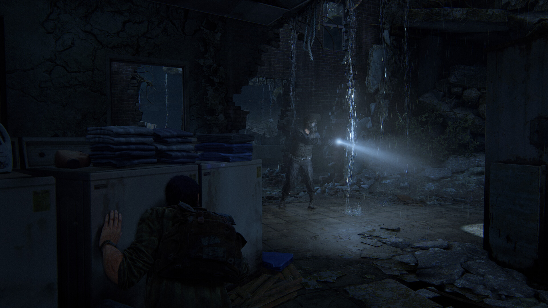 美国末日/最后生还者/The Last of Us 游戏截图 4