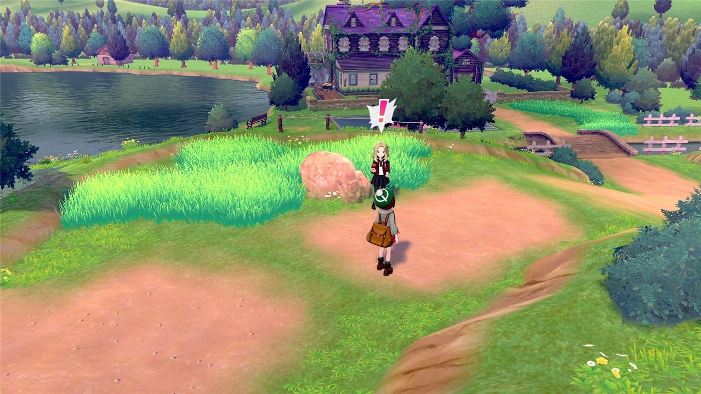口袋妖怪剑盾/精灵宝可梦剑盾/Pokemon Sword Shield 游戏截图 5