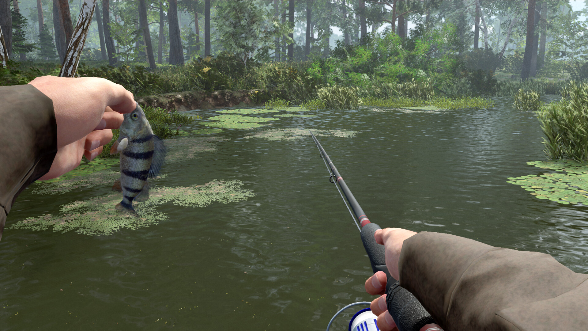 专业钓鱼2/Professional Fishing 2 版本更新 游戏截图 5