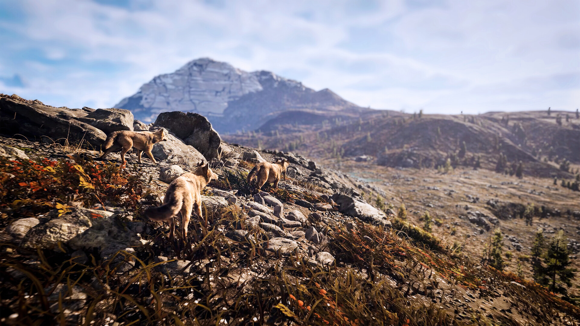 狩猎模拟3/Hunting Simulator 3 游戏截图 8