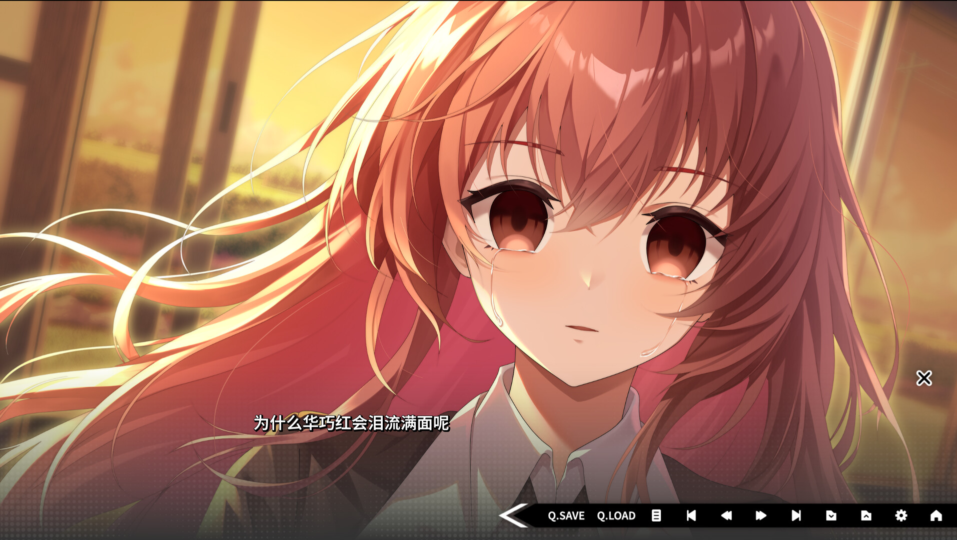 道之华隐/DaoNoKa hide 游戏截图 7