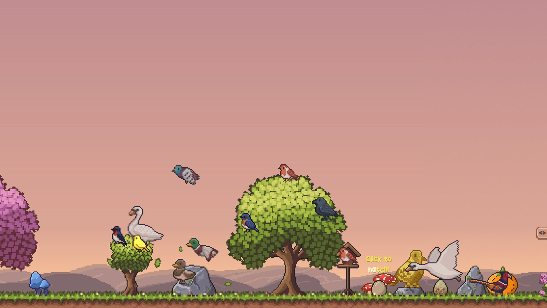 桌面鸟舍：小小鸟陪你摸大鱼/Little Aviary 游戏截图 1