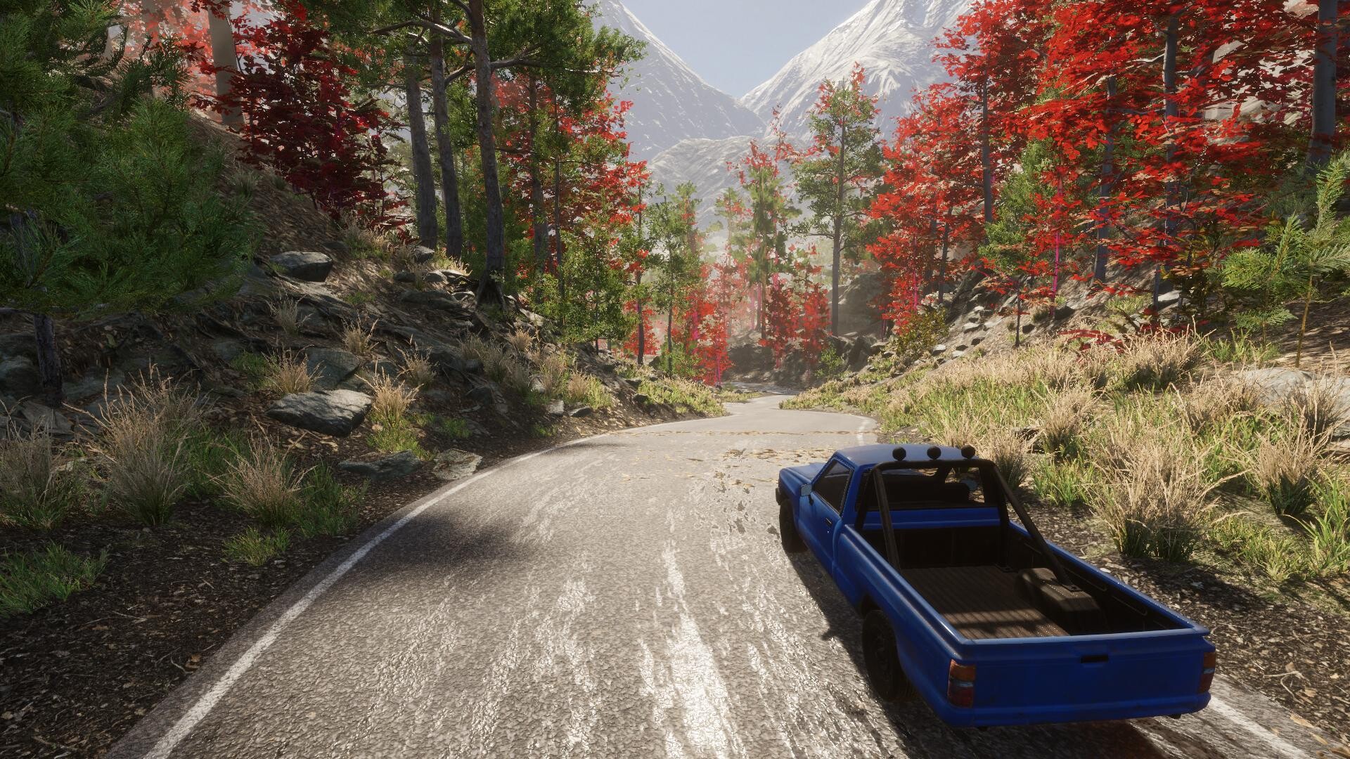 环保志愿者/Eco Volunteer 新游发布 游戏截图 19