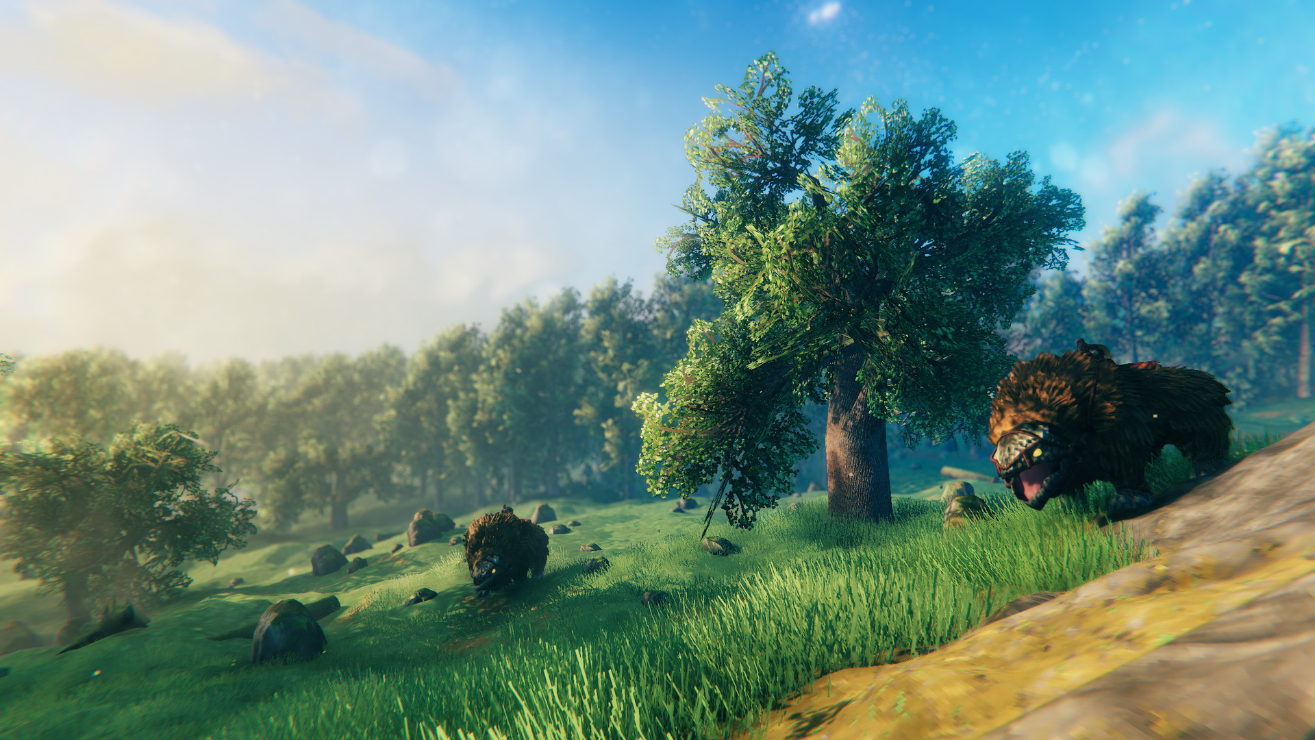 Valheim: 英灵神殿 游戏截图 16