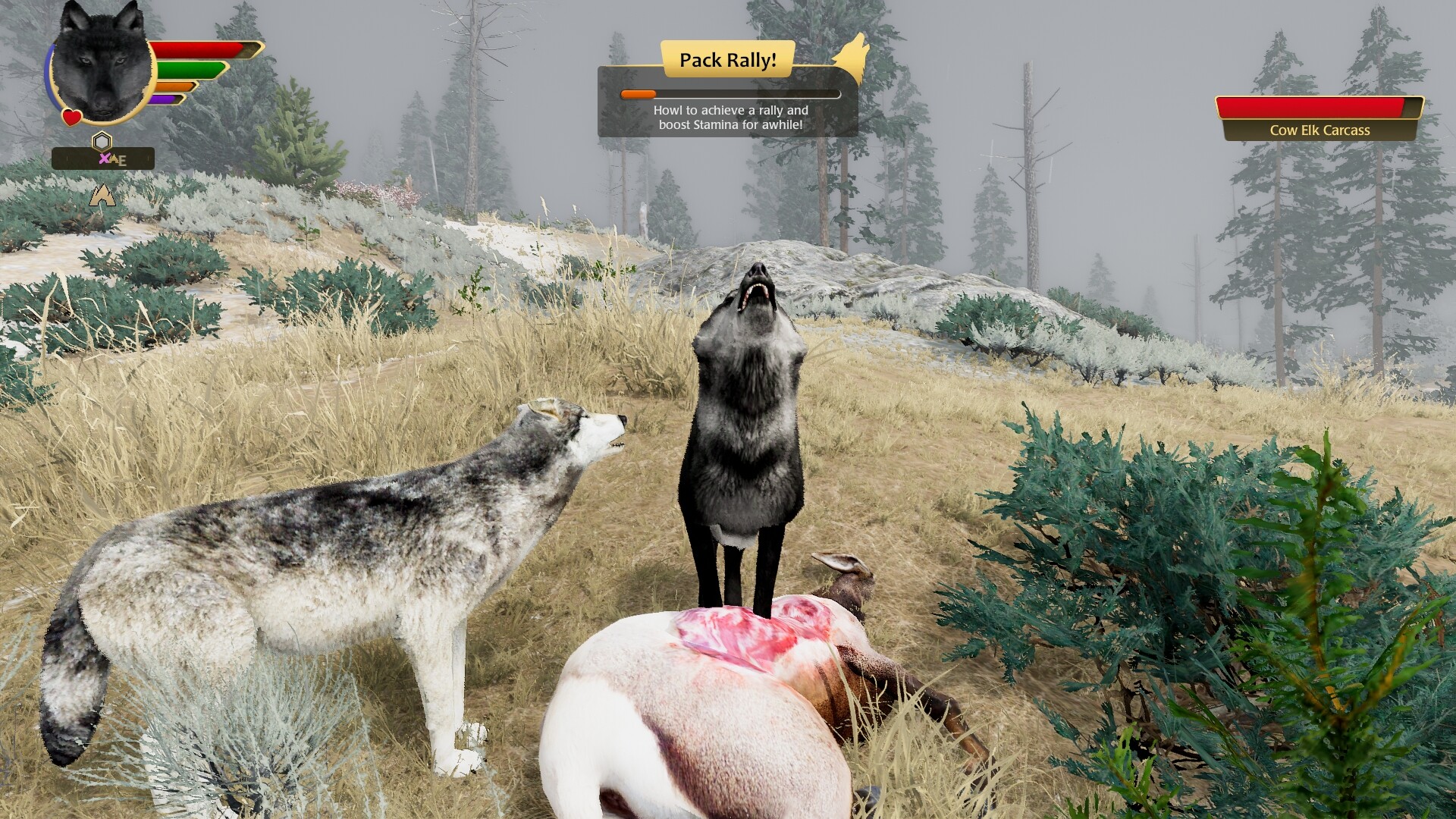 野狼谜踪:周年纪念版/WolfQuest: Anniversary Edition 游戏截图 18