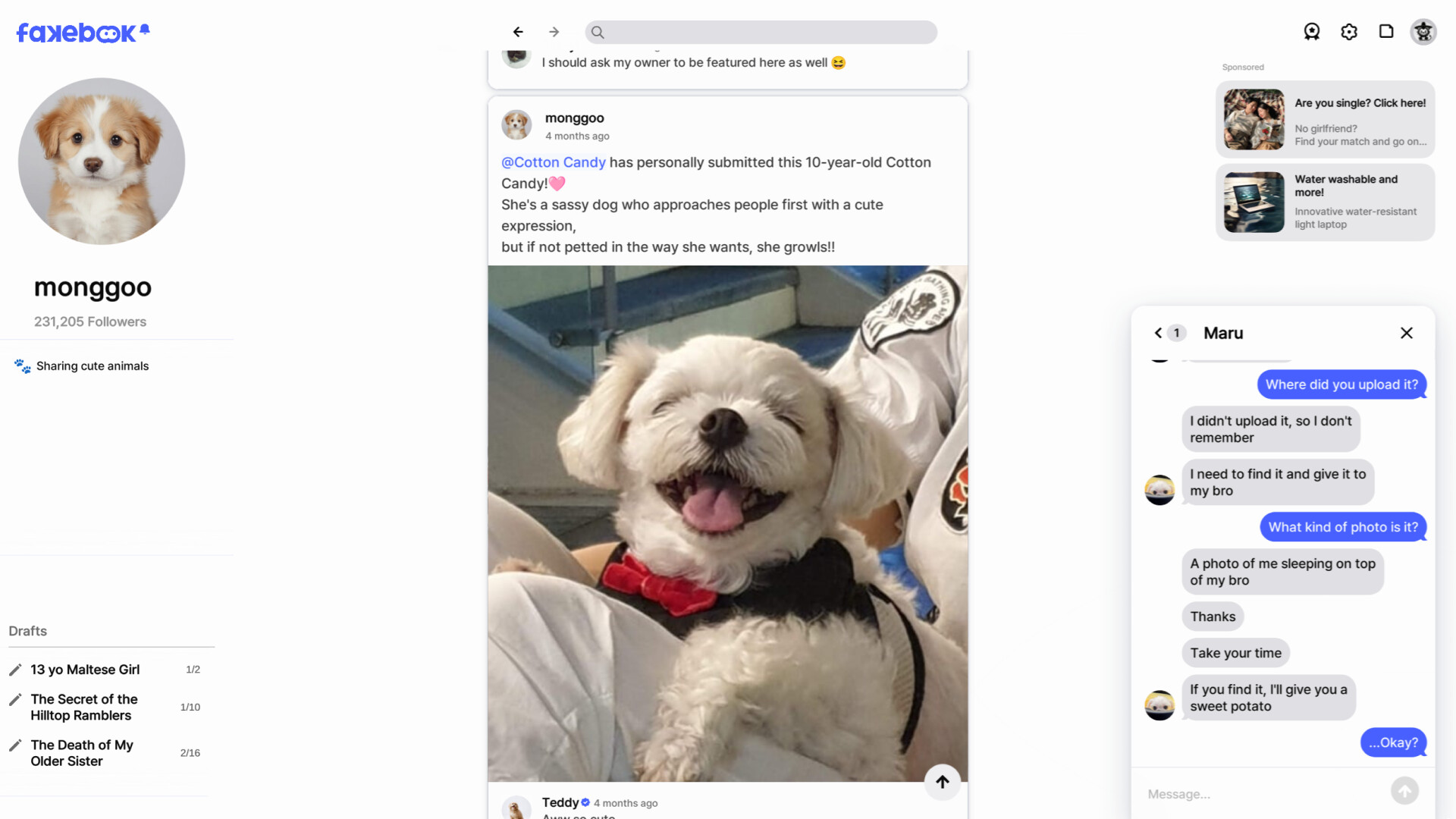 假书/FAKEBOOK 游戏截图 1