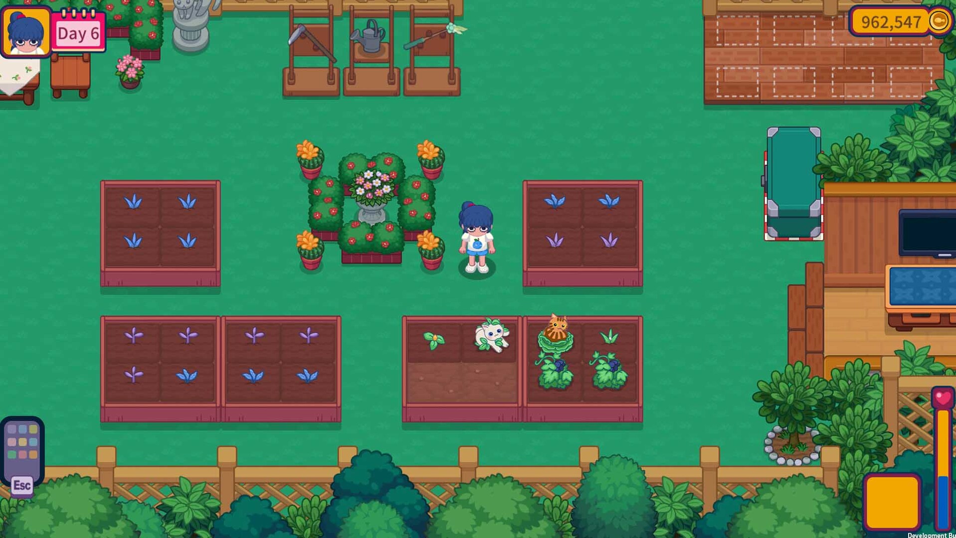 猫咪花园/Meow Garden 游戏截图 6