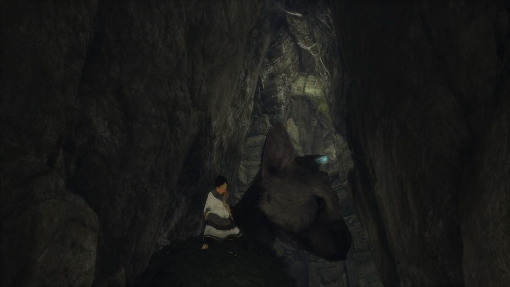 最后的守护者/The Last Guardian 游戏截图 4