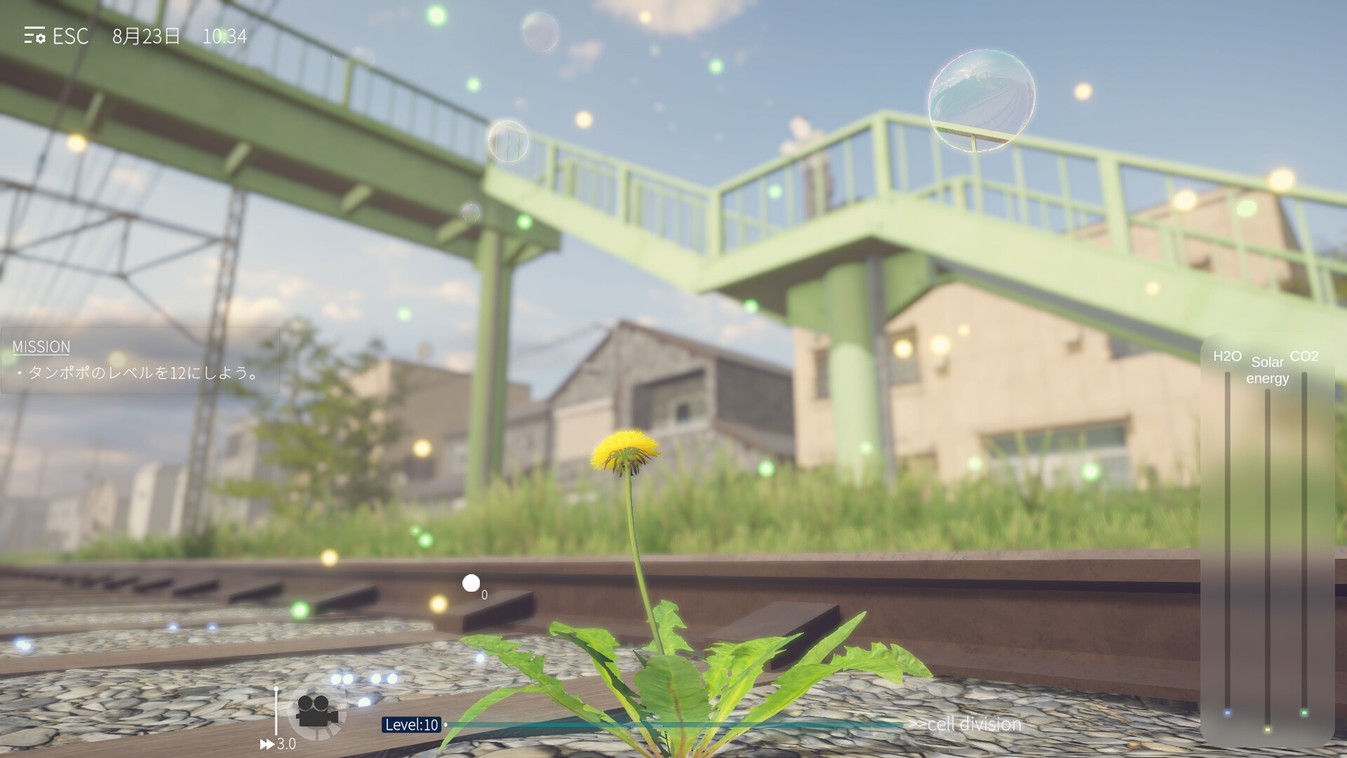 蒲公英不屈。/The Dandelion Endures. 游戏截图 4