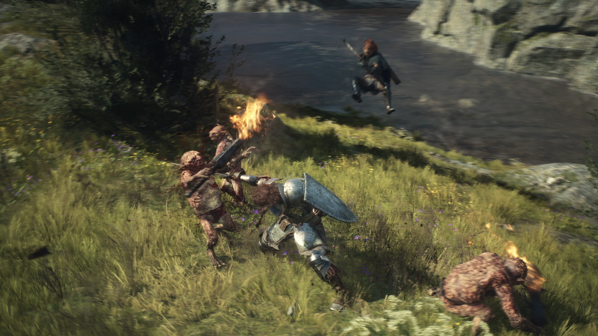 龙之信条2/Dragon's Dogma 2『移除D加密』 版本更新 游戏截图 3