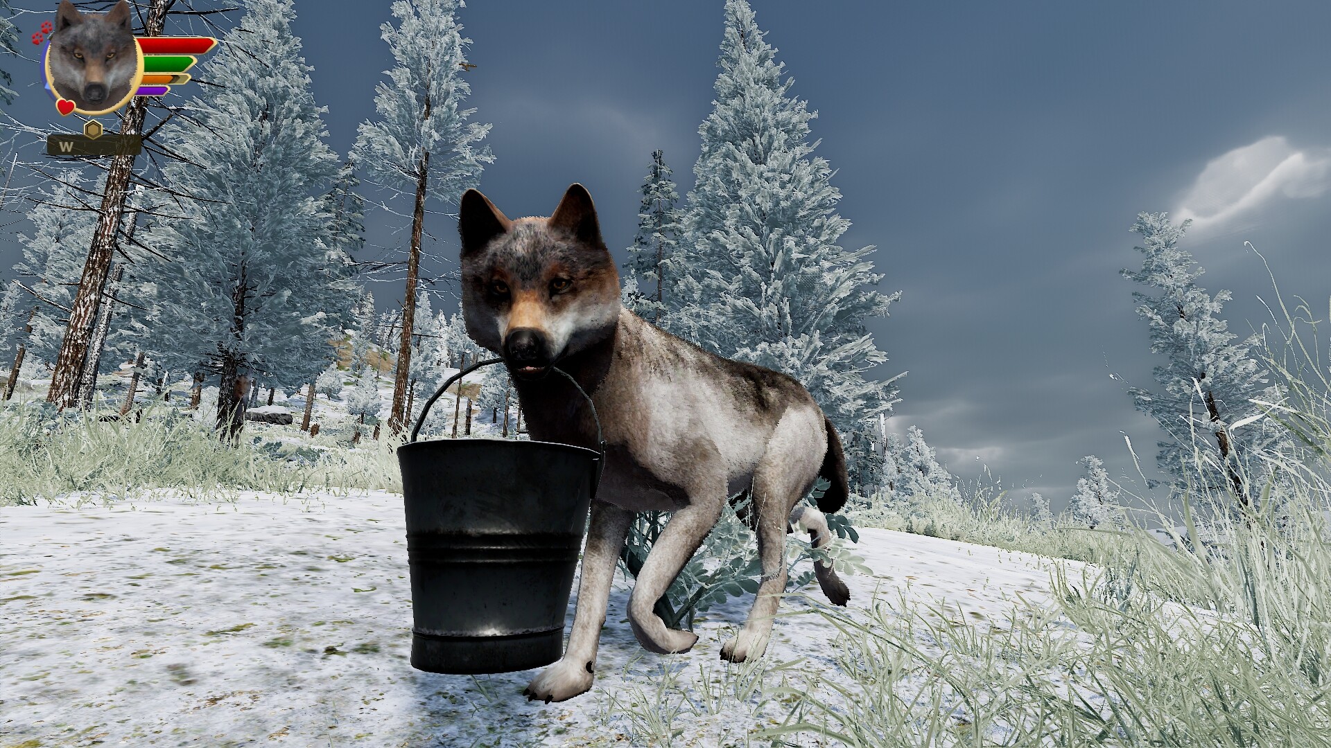 野狼谜踪:周年纪念版/WolfQuest: Anniversary Edition 游戏截图 19