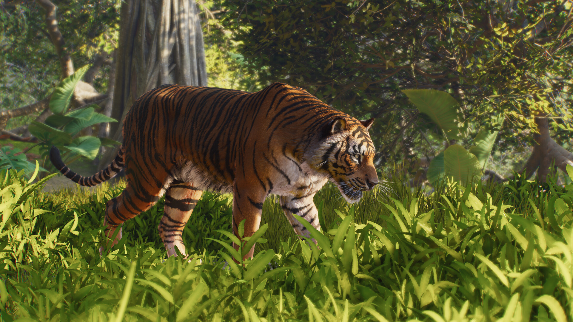 动物园之星2-虚拟机版/Planet Zoo 2 HYPERVISOR 游戏截图 6