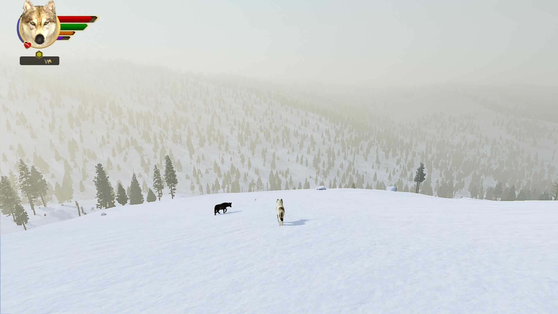 野狼谜踪:周年纪念版/WolfQuest: Anniversary Edition 游戏截图 14