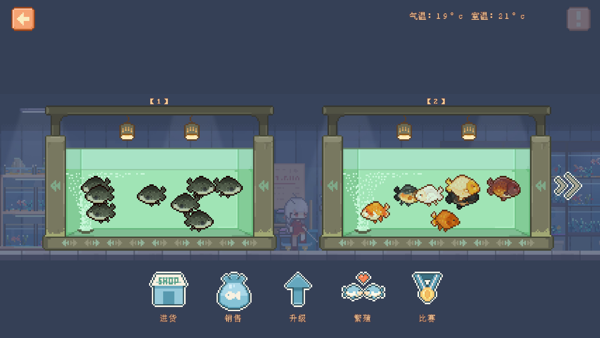 宠物街的金鱼姬/Pet Street Story 游戏截图 3