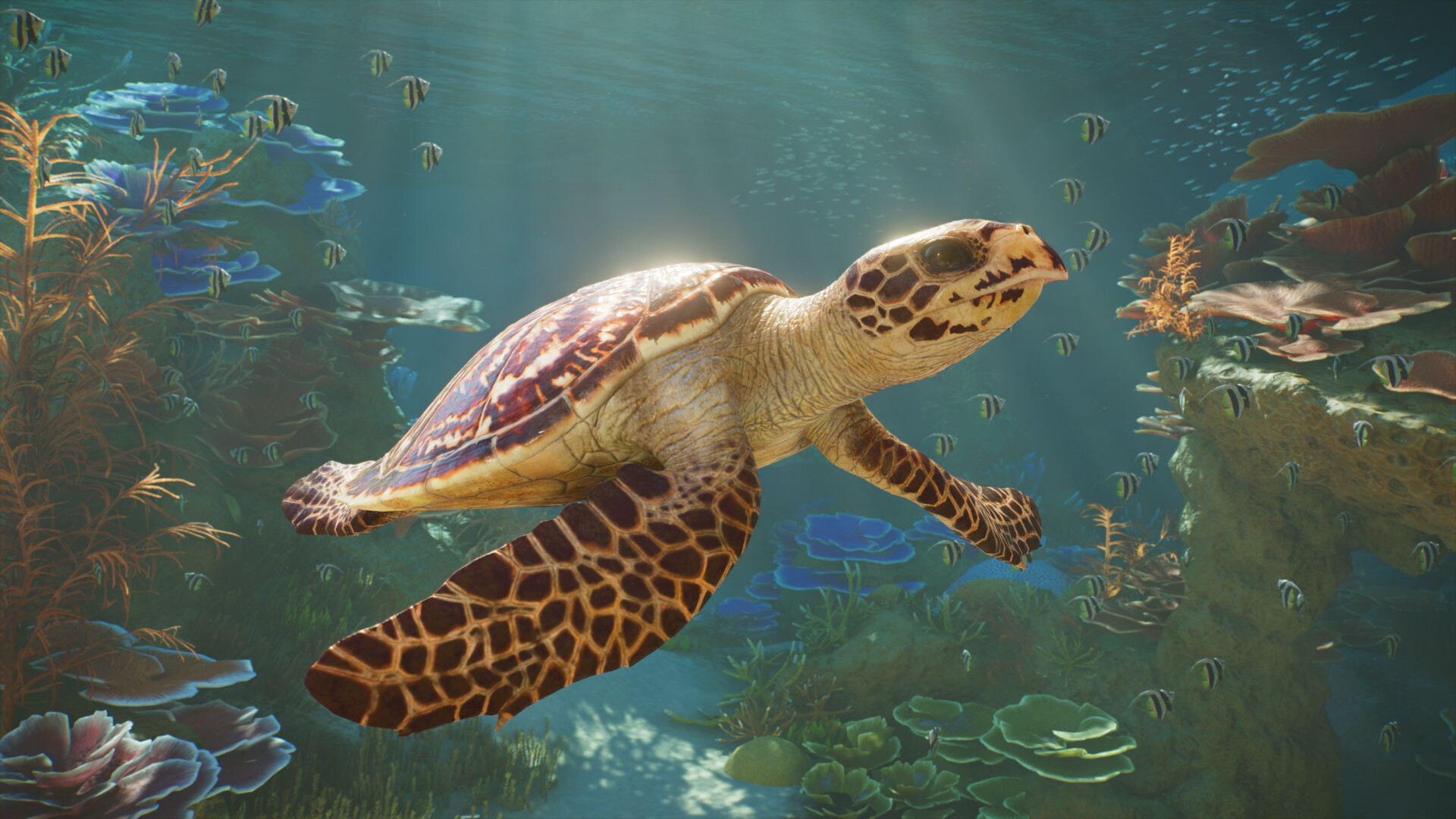 动物园之星2-虚拟机版/Planet Zoo 2 HYPERVISOR 游戏截图 2